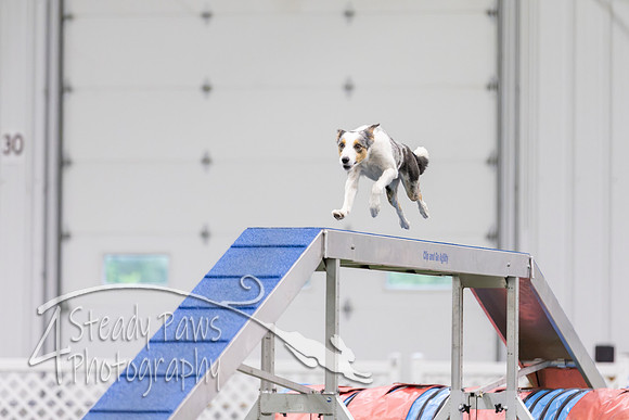 MastersSeriesAgility202614