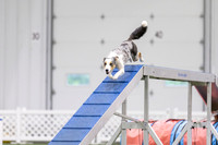 MastersSeriesAgility202615