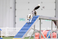 MastersSeriesAgility202616