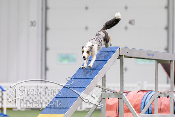 MastersSeriesAgility202616