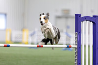 MastersSeriesAgility202617