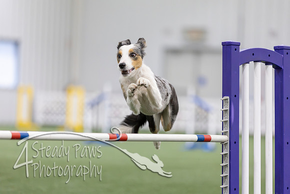 MastersSeriesAgility202617