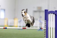 MastersSeriesAgility202618