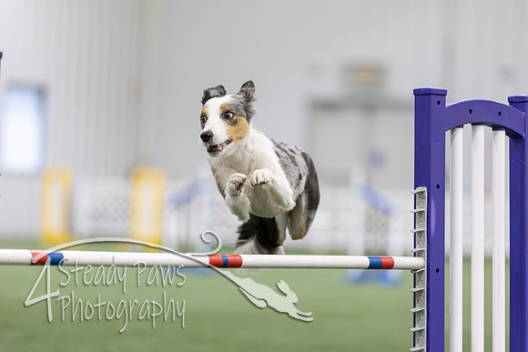 MastersSeriesAgility202618