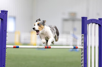 MastersSeriesAgility202619