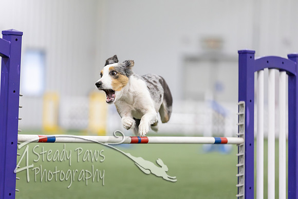 MastersSeriesAgility202619