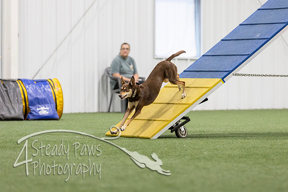 MastersSeriesAgility202620