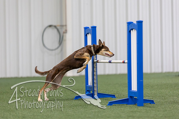 MastersSeriesAgility202622