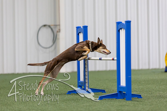 MastersSeriesAgility202623