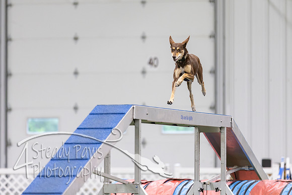 MastersSeriesAgility202624