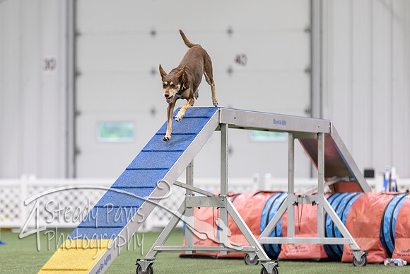 MastersSeriesAgility202625