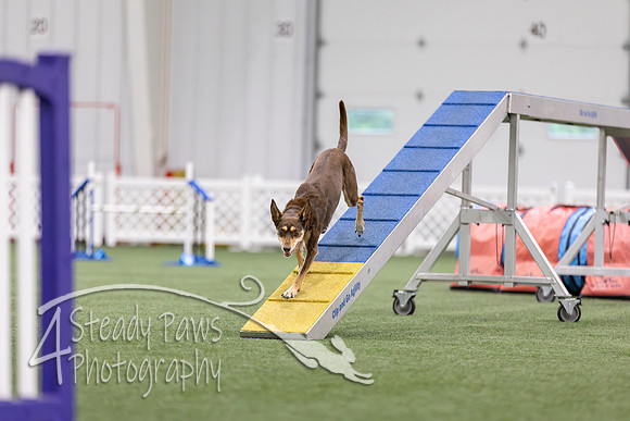 MastersSeriesAgility202626