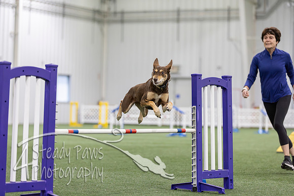 MastersSeriesAgility202627