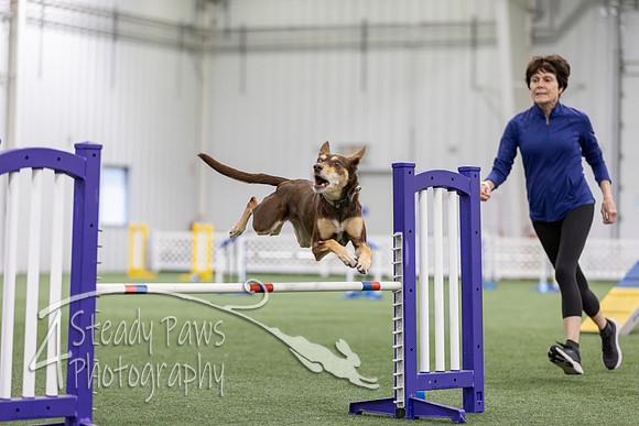MastersSeriesAgility202628