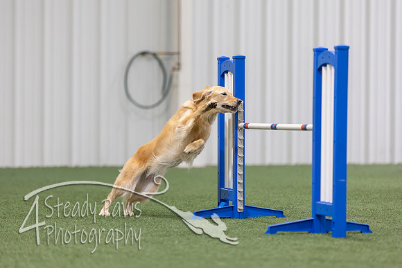 MastersSeriesAgility202639