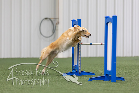 MastersSeriesAgility202640