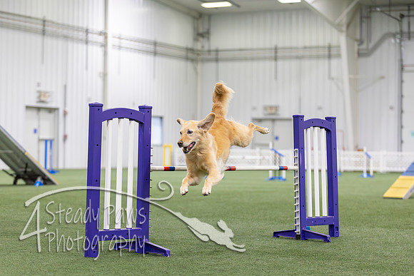 MastersSeriesAgility202646