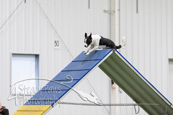 MastersSeriesAgility202647