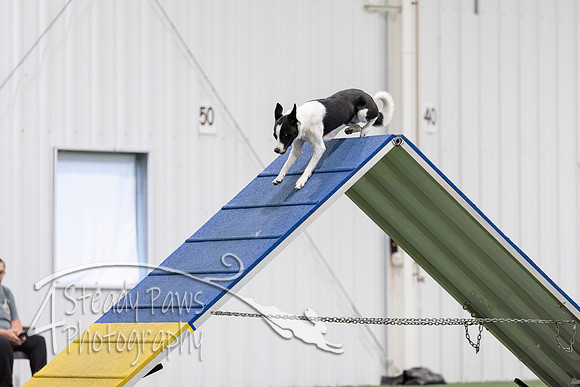 MastersSeriesAgility202648