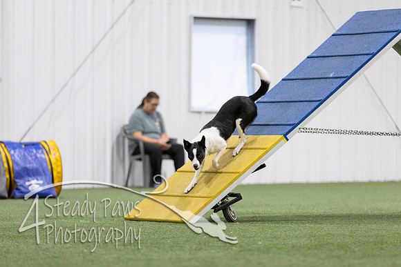 MastersSeriesAgility202649