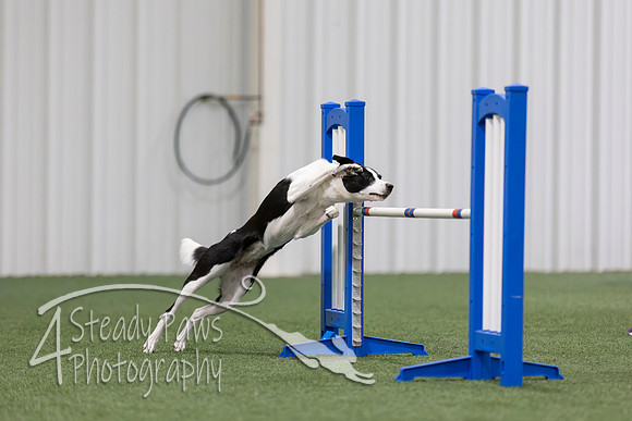 MastersSeriesAgility202651