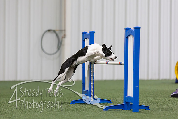 MastersSeriesAgility202652