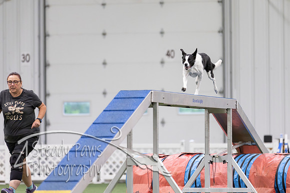 MastersSeriesAgility202653