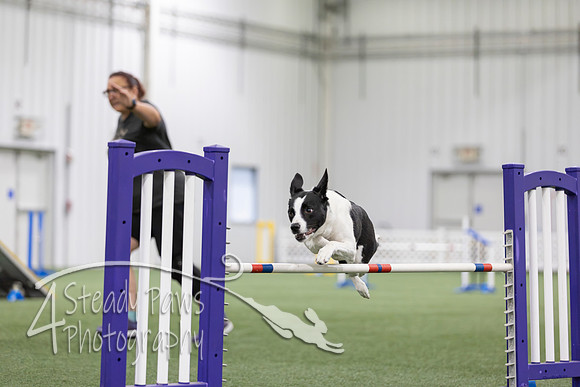 MastersSeriesAgility202657