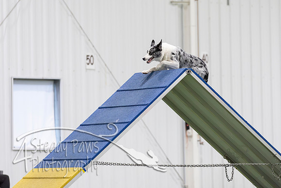 MastersSeriesAgility202658