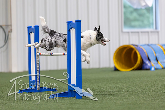 MastersSeriesAgility202659