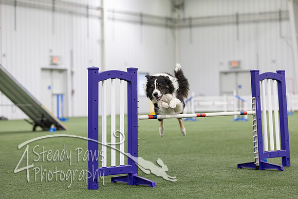 MastersSeriesAgility202669