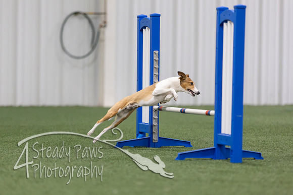 MastersSeriesAgility202672