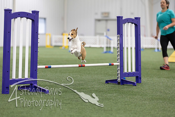 MastersSeriesAgility202677