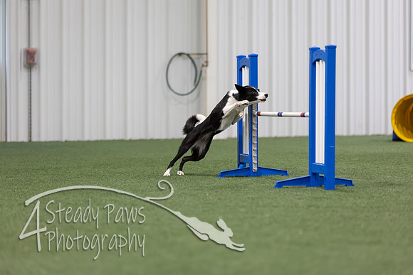 MastersSeriesAgility202681