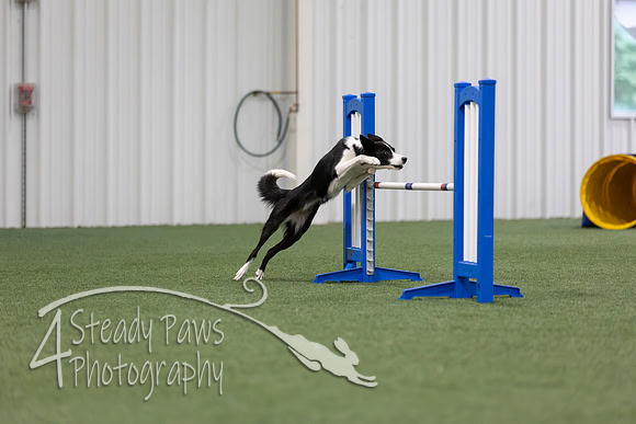 MastersSeriesAgility202682