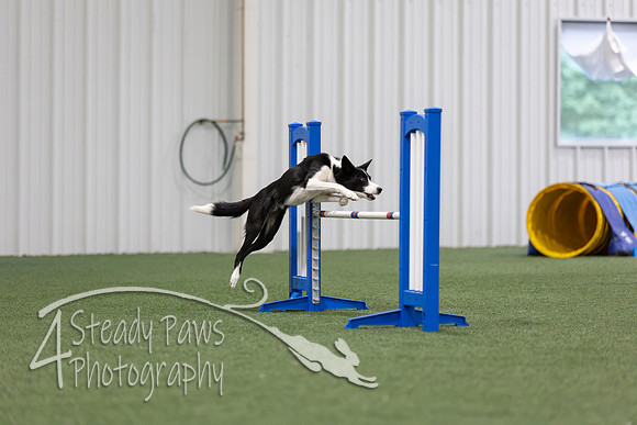 MastersSeriesAgility202683