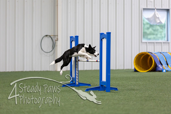 MastersSeriesAgility202684