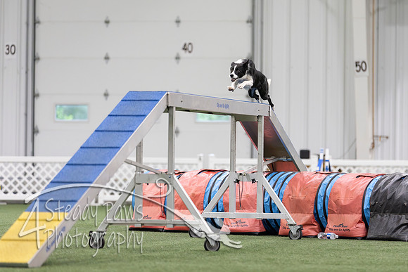 MastersSeriesAgility202685
