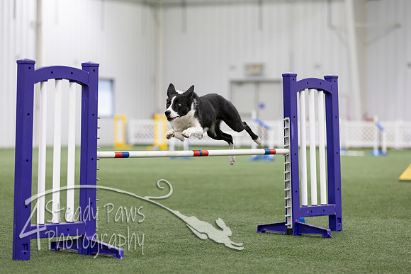 MastersSeriesAgility202688