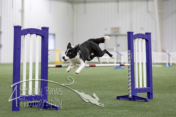 MastersSeriesAgility202689