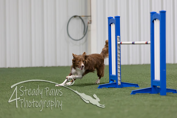 MastersSeriesAgility202690