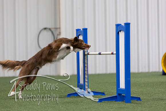 MastersSeriesAgility202691