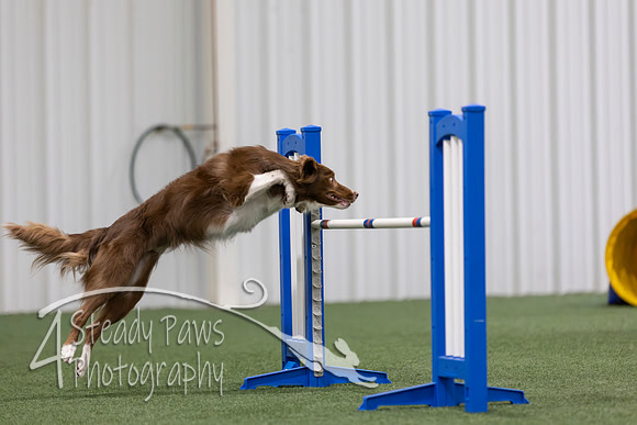 MastersSeriesAgility202692
