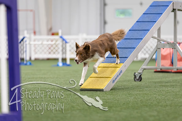 MastersSeriesAgility202694