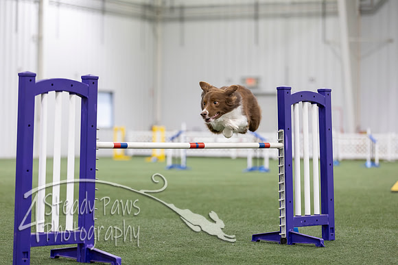 MastersSeriesAgility202696
