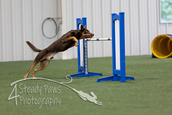 MastersSeriesAgility202698