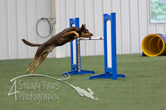 MastersSeriesAgility202699