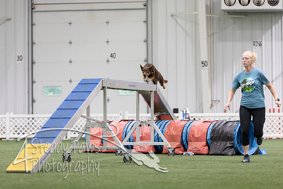 MastersSeriesAgility2026100