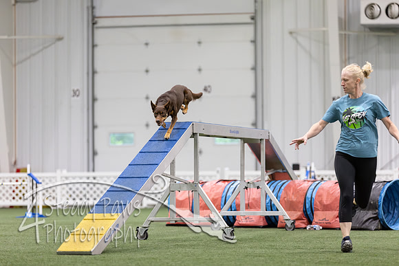 MastersSeriesAgility2026102