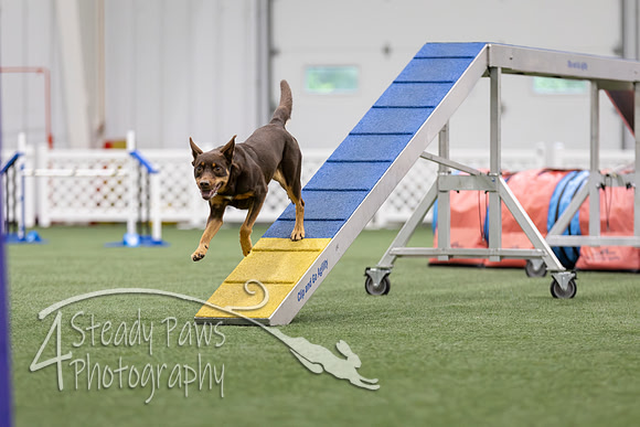 MastersSeriesAgility2026103